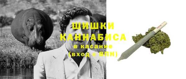 мдпв Богданович
