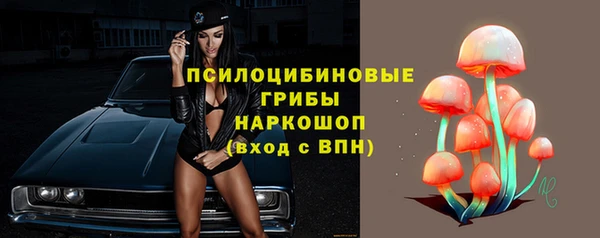 прущий лед Богородск