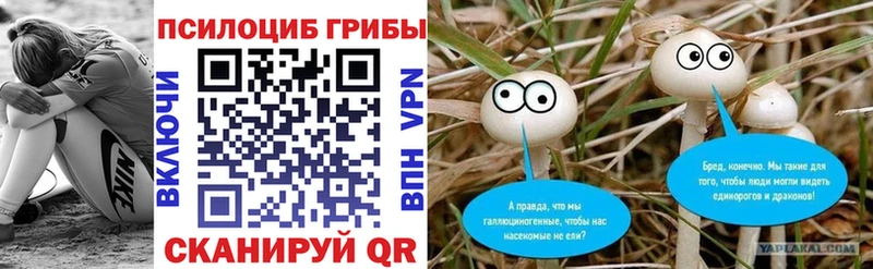 Галлюциногенные грибы мицелий  Купить где  Мамадыш 